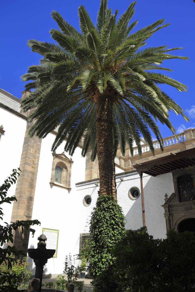 10.30 Gran Canaria  MG 1623